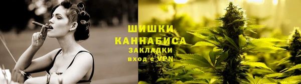 сатива Сясьстрой