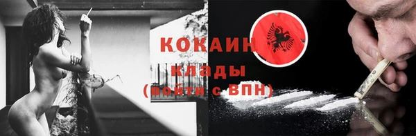 сатива Сясьстрой