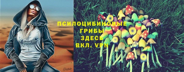 сатива Сясьстрой