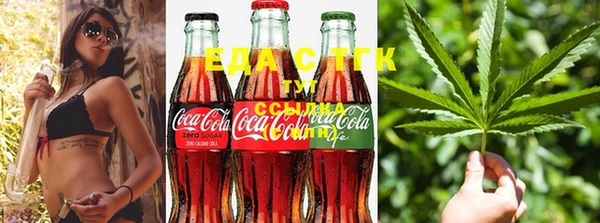 сатива Сясьстрой