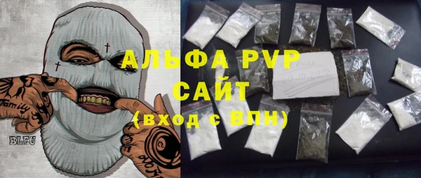 сатива Сясьстрой