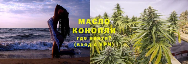 сатива Сясьстрой