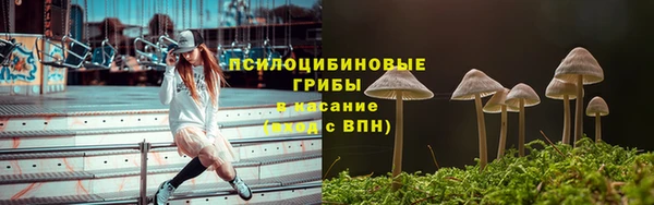 сатива Сясьстрой